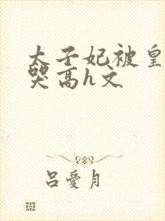 太子妃被皇上c哭高h文