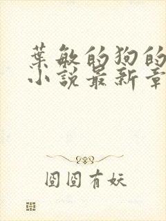 叶敏的狗的乐趣小说最新章节更新