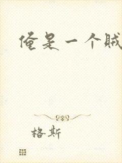 俺是一个贼