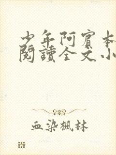 少年阿宾本全文阅读全文小说封面
