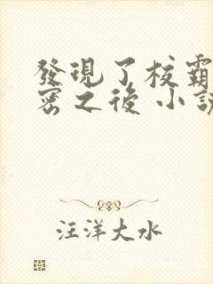 发现了校霸的秘密之后 小说