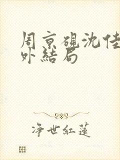 周京砚沈佳期番外结局