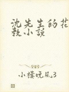 沈先生的花式管教小说