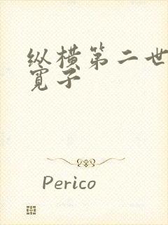 纵横第二世界 宽子