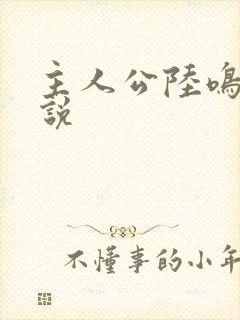 主人公陆鸣的小说