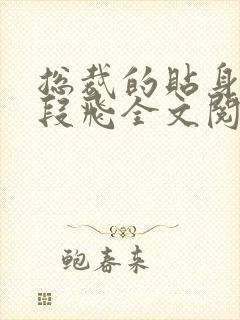 总裁的贴身高手段飞全文阅读