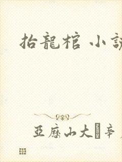 抬龙棺 小说