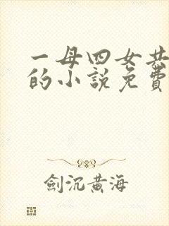 一母四女共一婿的小说免费阅读小冉