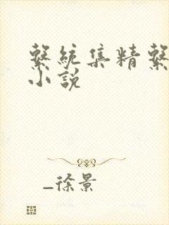 系统集精系统 小说