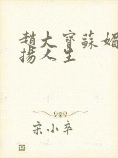 赵大宝苏媚的激扬人生封面