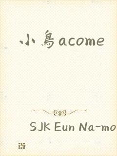 小鸟acome