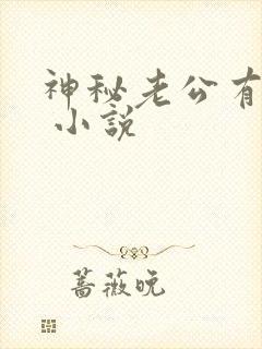 神秘老公有点坏 小说封面