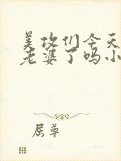 美攻们今天玩坏老婆了吗小说
