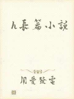 h长篇小说封面