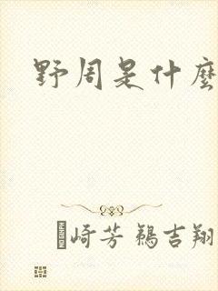 野周是什么意思封面