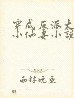 穿成反派大佬的小仙妻小说免费阅读