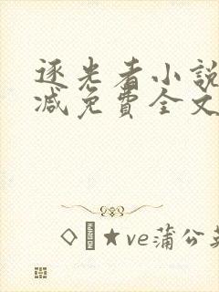 逐光者小说无删减免费全文阅读封面
