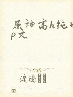 原神高h纯肉np文