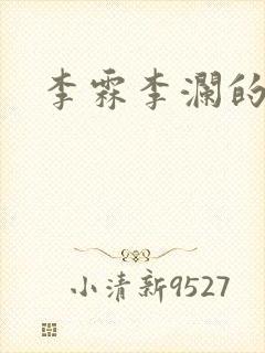 李霖李澜的小说