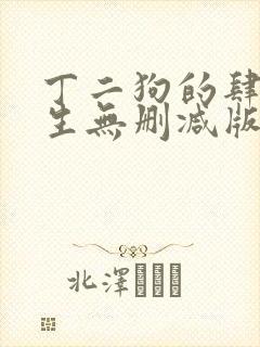 丁二狗的肆意人生无删减版 小说