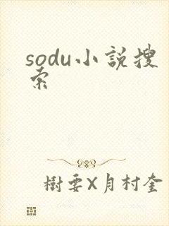 sodu小说搜索