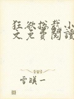 狂欲总裁小说全文免费阅读封面