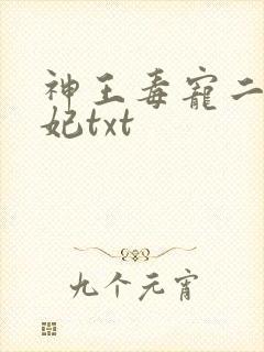 神王毒宠二嫁王妃txt