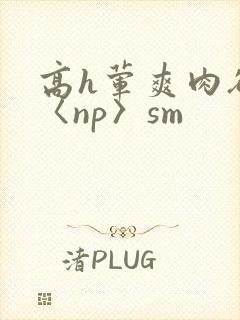 高h荤爽肉欲文〈np〉sm封面