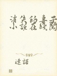 消失的妻子素素小说在线阅读封面
