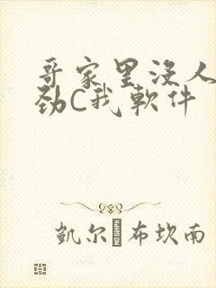 哥家里没人使点劲C我软件