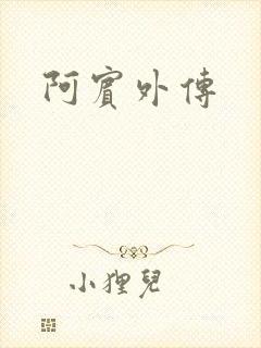 阿宾外传