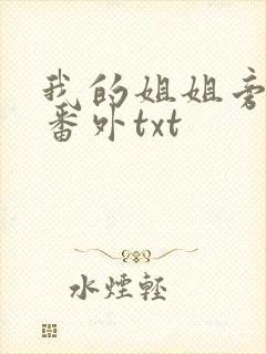 我的姐姐旁观者番外txt