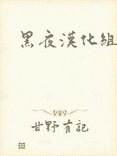 黑夜汉化组