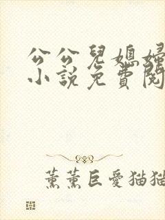公公儿媳妇古代小说免费阅读