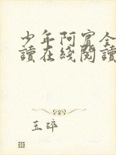 少年阿宾全文阅读在线阅读全文第一季