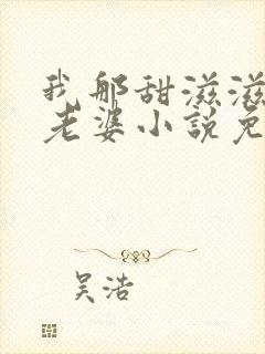 我那甜滋滋又多老婆小说免费阅读