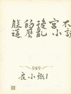朕的后宫不可能这么乱 小说封面