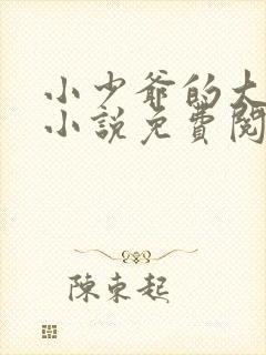 小少爷的大总裁小说免费阅读