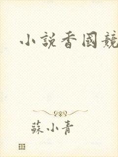 小说香国竞艳