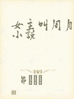 女主叫周月丫的小说