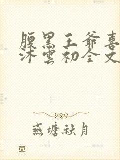 腹黑王爷喜当爹沐云初全文免费阅读