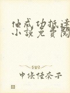 他成功抵达花心小说免费阅读全文