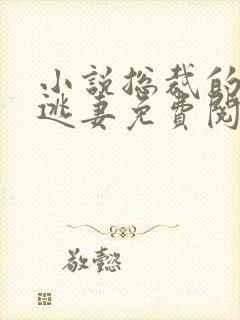 小说总裁的漠然逃妻免费阅读