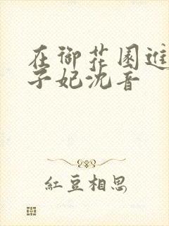 在御花园进入太子妃沈音封面