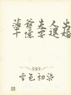 薄爷夫人出价一千亿要退婚免费