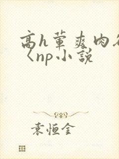 高h荤爽肉欲文〈np小说