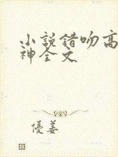 小说错吻高冷男神全文封面