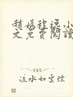 赵嫣程逸小说全文免费阅读封面