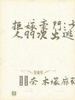 拒嫁豪门:少夫人99次出逃小说