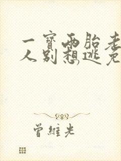 一宝两胎老婆大人别想逃免费阅读